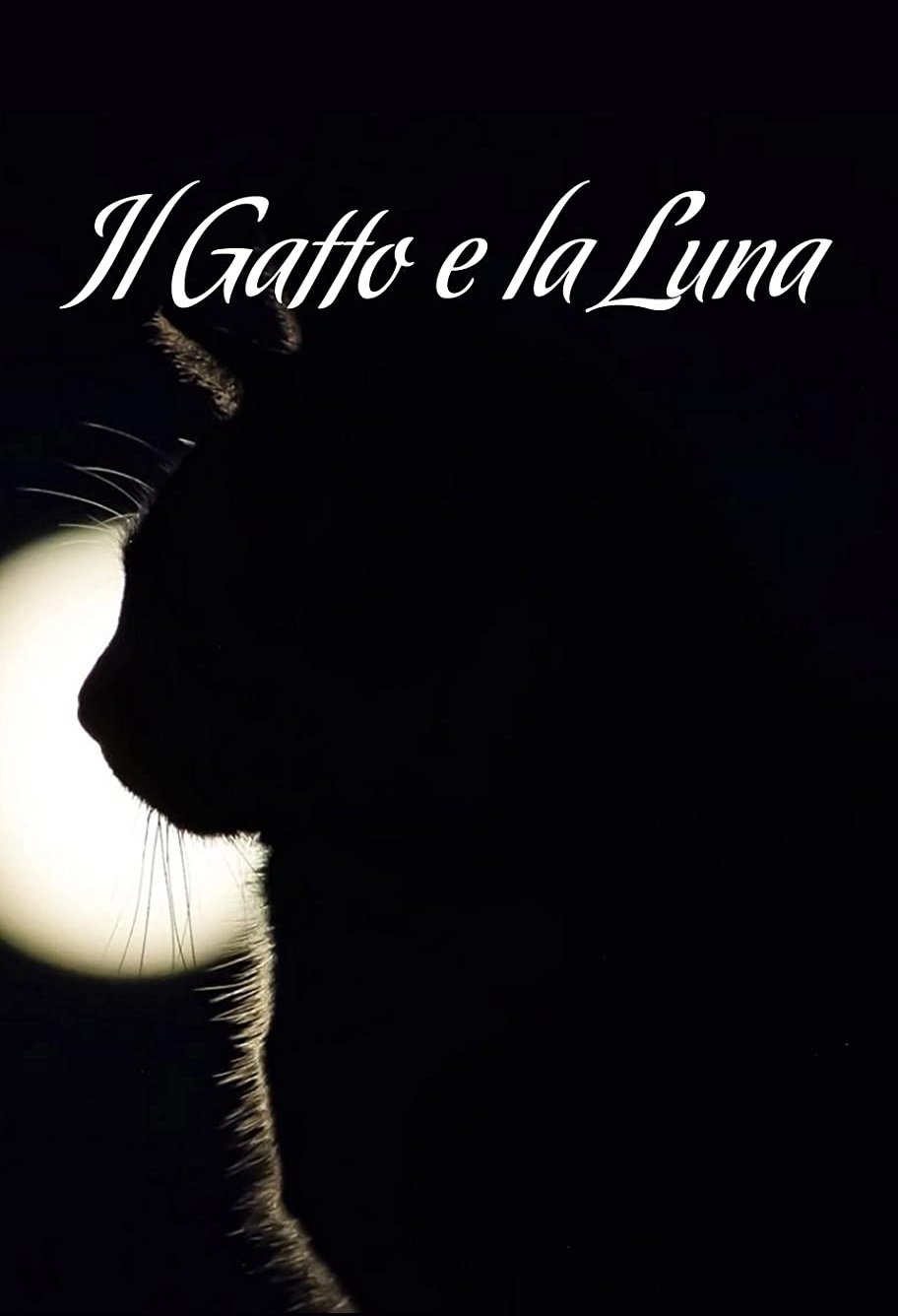 Постер Il gatto e la luna
